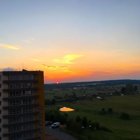 Forest Dream * Druskininkai