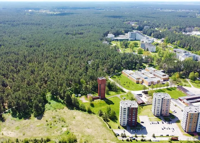 Forest Dream * Druskininkai