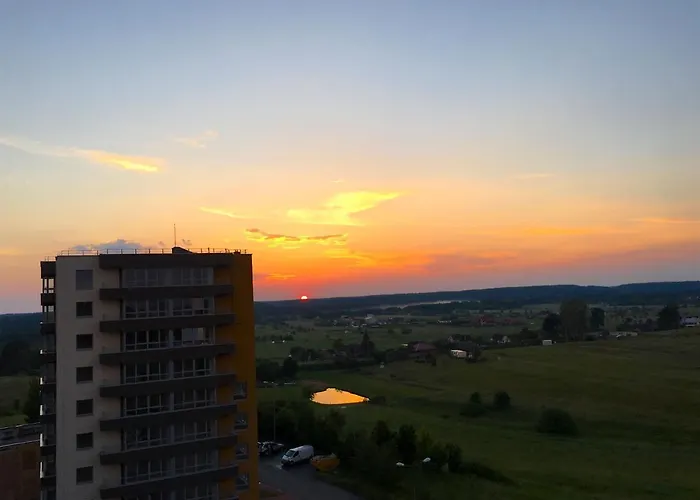 Forest Dream * Druskininkai